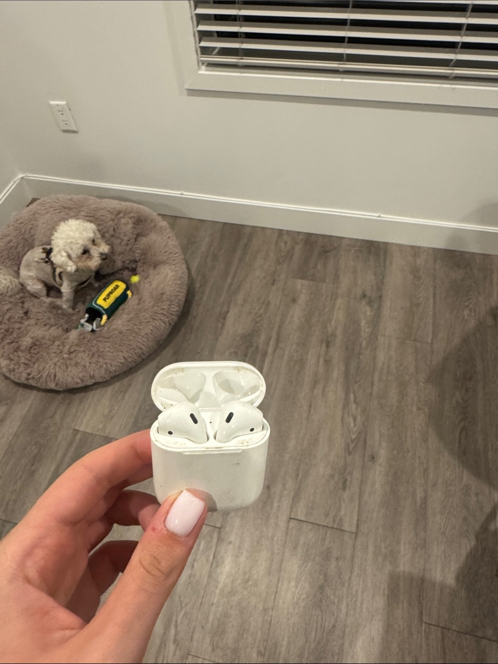 Apple White Wireless Earbuds with Charging Case